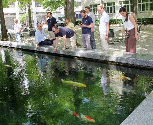 Image 4: ...and quiet moments like this one. Photo: ROSER AG/IFN